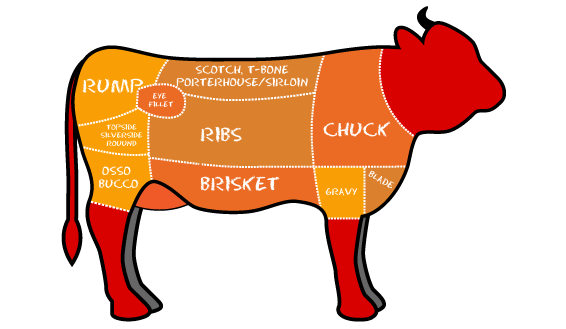 Cow illustration showing cuts of meat