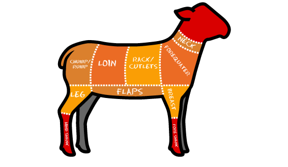 Lamb illustration showing cuts of meat