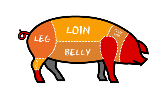 Pork illustration showing cuts of meat